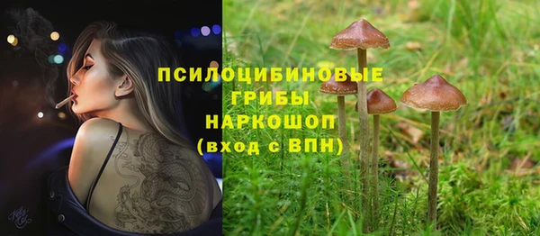 ешки Баксан