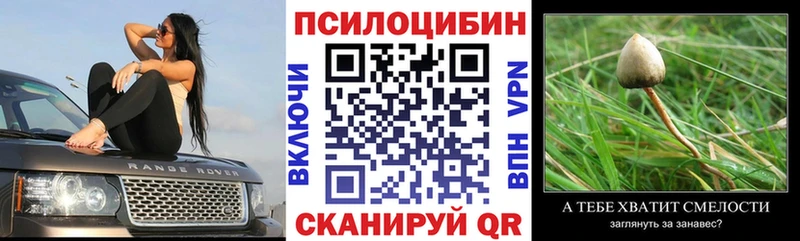 Галлюциногенные грибы Magic Shrooms купить наркотики цена Новый Оскол